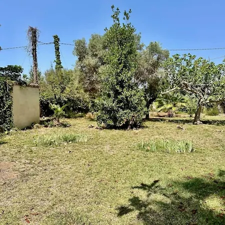 别墅 Grao Benicasim Ref 026